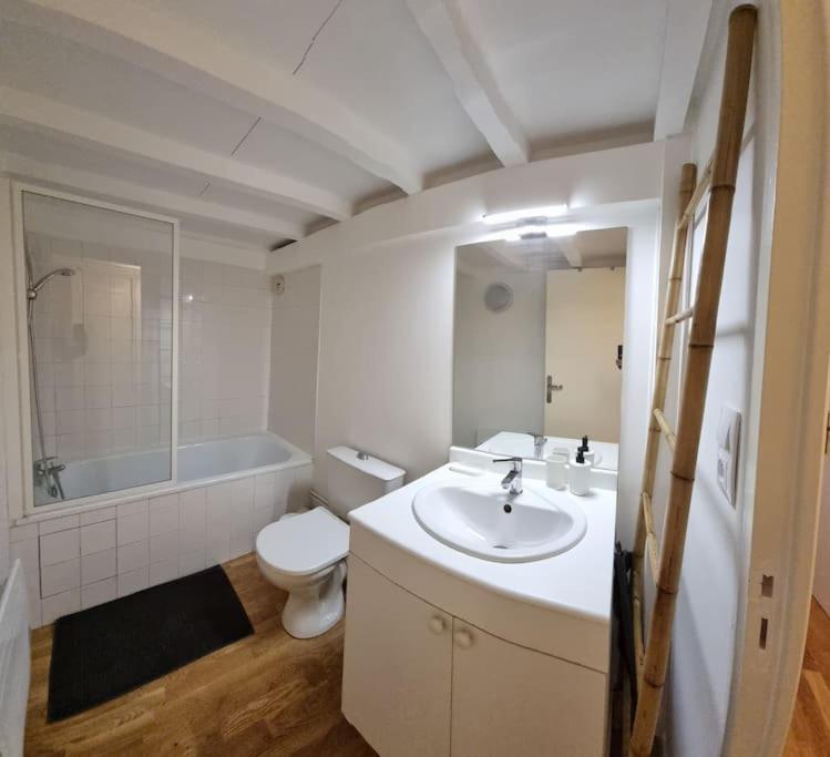 툴루즈 T2 Charmant - Hypercentre - Quai De Garonne - Wifi 아파트 외부 사진